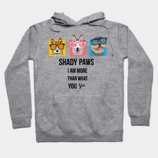 Shady Paws Dogs Wearing Oversized Sunglasses Hoodie